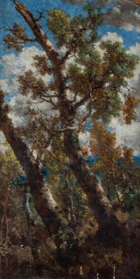 Circle of Nicolae Grigorescu, Romanian 1838-1907- Trees in a forest; oil on canvas, 61 x 3.8, (unframed). Provenance: Purchased from an auction at Sotheby's Conduit Street, London as 'Attributed to Nicolae Grigorescu'.; Private Collection, UK.
