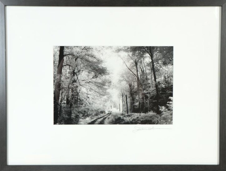 Contemporary Signed Photographic Landscape