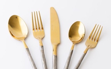 Daniel van Dijck - Cutlery set for 12 (75) - 'Gold & Silver' - Steel (stainless)