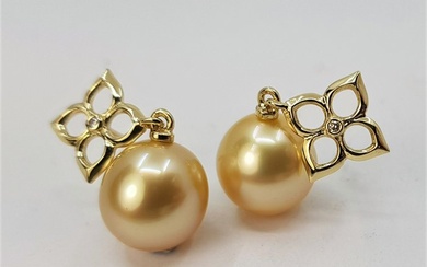 Earrings 10x11mm Golden South Sea Pearls - 14 kt. Yellow gold - 0.02 ct