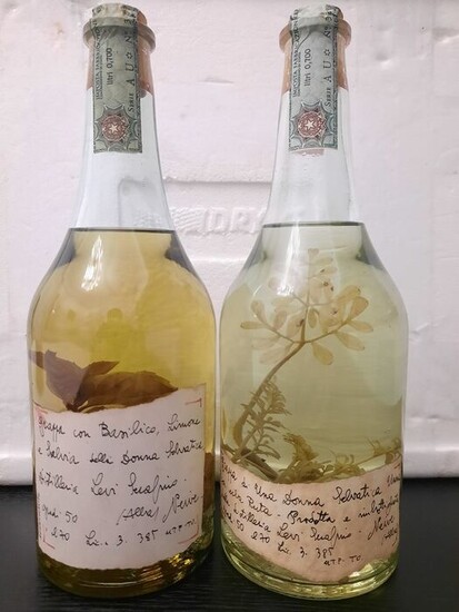 Grappe di Lidia & Romano Levi - di Una Donna Selvatica Unna con erba Ruta + con Basilico, Limone e Salvia della Donna Selvatica - b. 1993, 1994 - 70cl - 2 bottles