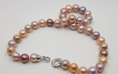 NO RESERVE PRICE - 925 Silver - 10x12mm Round Edison Pearls - Necklace