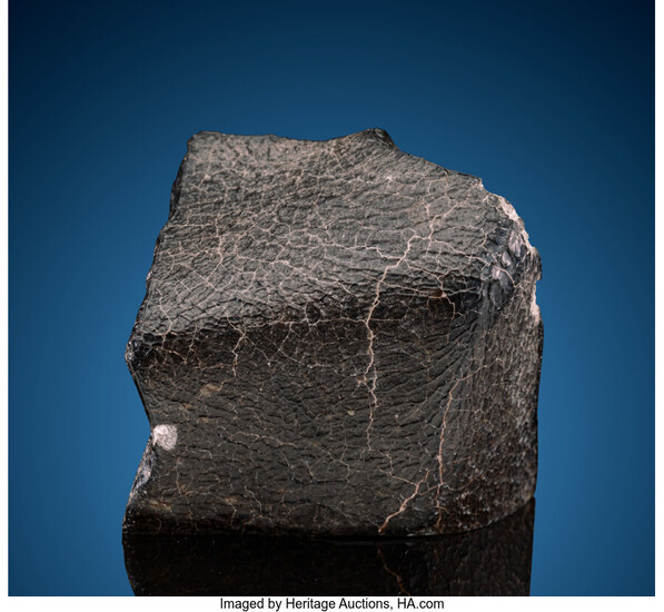 NWA 12513 Meteorite Eucrite-mmict Northwest Africa Found: 2018 Representing...