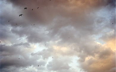 Olivia Arthur "Birds Over the Bosphorus, Istanbul, 2006" Photo Print