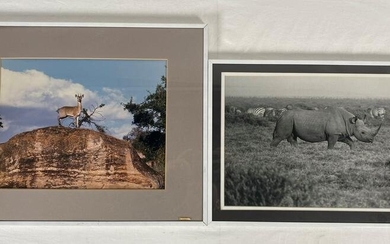 Pair of Native Tribe Wild Life Photographs