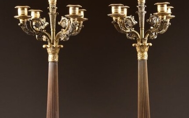 Pair of two-tone candlesticks on beautiful lion's feet - Charles X - Bronze (patinated), Ormolu - Early 19th century