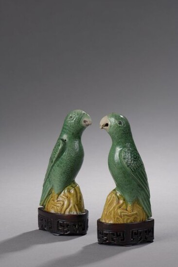 Pair of yellow and green enamelled porcelain subjects on the biscuit, depicting parakeets on a rock. On their openwork wooden bases.
