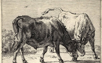 Potter, Paulus (1625-1654). The Grazing Cow. Two Oxen Fighting. Two...