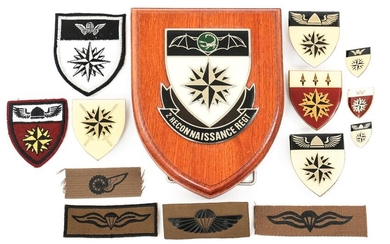 SOUTH AFRICAN SPECIAL FORCES RECCE INSIGNIA LOT