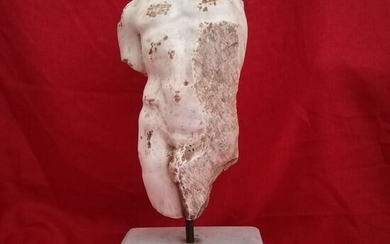 Sculpture, Men's torso - 70 cm - Marble - Early 20th century