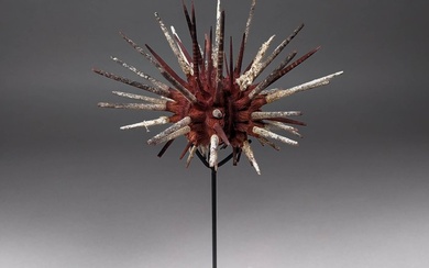 Sea Urchin Taxidermy full body mount - Prionocidaris baculosa - 16 cm - 15 cm - 11 cm