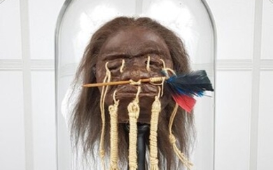 Superb Jivaro Shrunken Head Replica with Certificate on stand, under large Glass Dome - Homo replicans - 40×23×23 cm