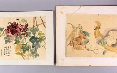 TWO CHINESE PAINTINGS OF NATIVE FLORAL DISPLAY, one on