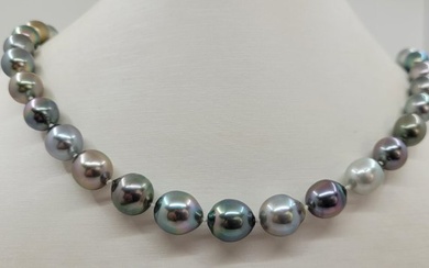 no reserve - Pearl Science Lab certified - 8.1x11.1mm Multi Tahitian Pearls - 14 kt. White gold - Necklace