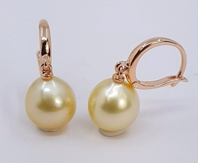 10x11mm Golden South Sea Pearls Earrings - Rose gold