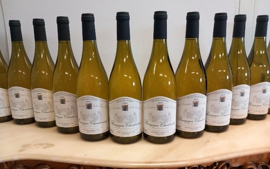 12 bouteilles de Bourgogne Blanc 2020 Chardonnay Domaine de la Tassée d'Or