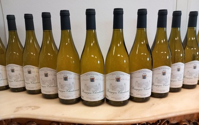 12 bouteilles de Bourgogne Blanc 2020 Chardonnay... - Lot 5 - Enchères Maisons-Laffitte