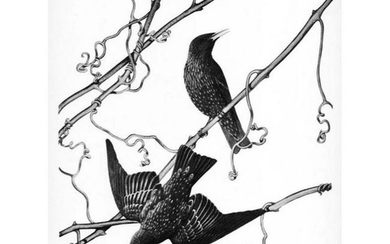 1950 Menaboni Print, Starling (Black/White)