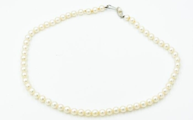 1950's Mikimoto Pearl Necklace with White Gold Clasp