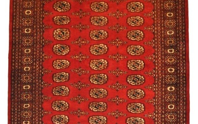 4 x 6 Red Bokhara Rug