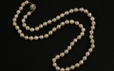 A single row uniform semi Baroque cultured pearl necklace, with clasp set with a pearl marked 835