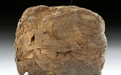 Extremely Rare Egyptian Mummified Snake Bundle