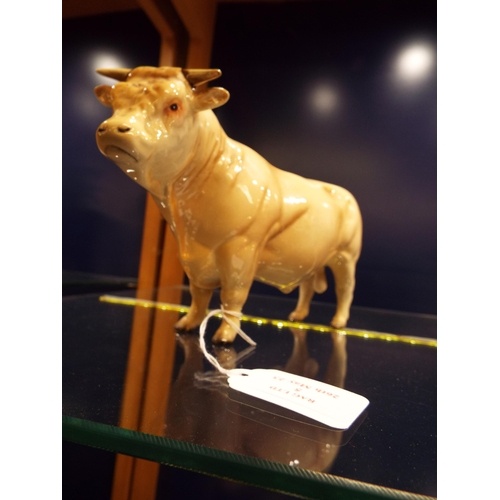 A Beswick Charolais Bull