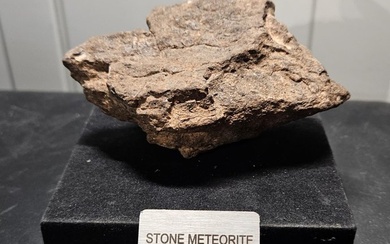 Al Haggounia 001 meteorite Chondrite Meteorite - Height: 50 mm - Width: 100 mm - 188.95 g - (1)