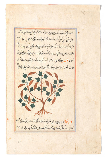 An illustrated leaf from a manuscript relating to the use...