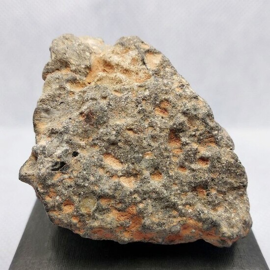 Authentic METEORITE of the MOON. NWA 13306. New 2020 classification !!! XL. - 78.95 g