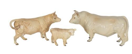 Beswick Cattle Comprising: Charolais Bull, model No. 2463A, Charolais Cow,...