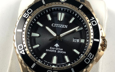 Citizen - Promaster Diver's Marine Solar - BN0193-17E - Men - 2011-present