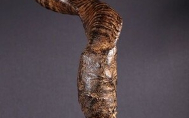 Fetish (1) - Glass, Horn, Leather - Benin - 1st half 20th century