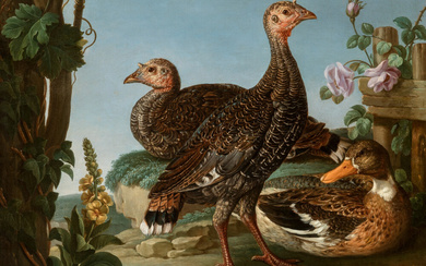 French/Flemsih School 18th Century Poultry in a landscape