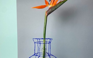 Iris Lucia - Iris Lucia Design - Vase - 3D DRAW VASE BLUE
