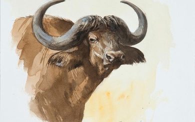 JUAN VARELA (Madrid 1950) "Brown Buffalo Portrait" Watercolour on paper Signed Measurements: 24 x 33,5 cm. Exit: 225uros. (37.437 Ptas.)