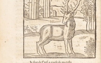 La Vénerie. Poitiers, 1561. Reliure du XVIIe. Rarissime édition originale., Du Fouilloux, Jacques