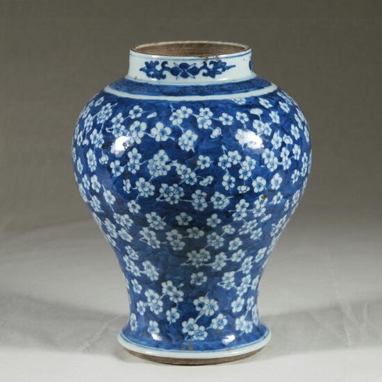Large Chinese Blue & White Ginger Jar with Flower &