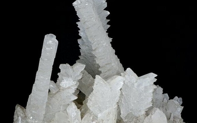 Large Fishtail Selenite Crystal Formation Specimen