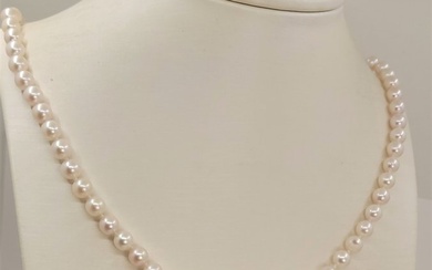 No Reserve - 6.5x13mm Golden and White Akoya Pearls - 925 Silver - Necklace