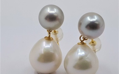 No Reserve Price - 8.5x11.5mm Silvery Akoya and White Edison Pearls - Earrings - 18 kt. Yellow gold