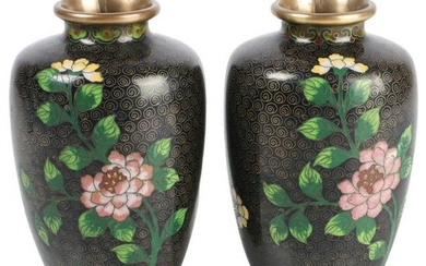Pair Chinese black ground cloisonne vases with flower