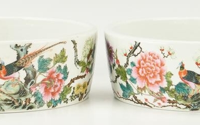 Pair of Chinese Famille Rose Porcelain "Narcissus"