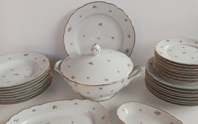 Richard Ginori - Table service (28) - Porcelain
