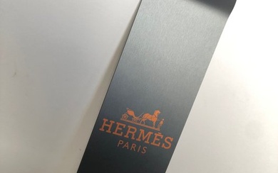 Rob VanMore - Skating by Hermes Paris (5/8)