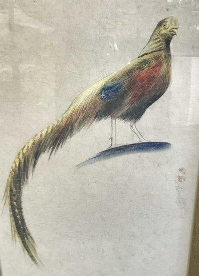 Signed Chinese Hand Colored Bird
