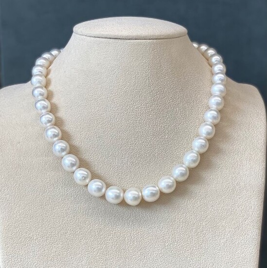 South sea pearls 9-11.9 mm - 925 Silver - Necklace