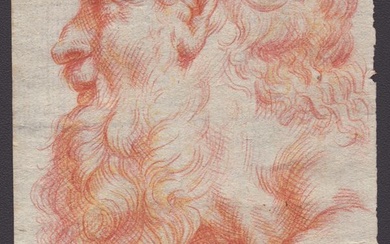 Testa di anziano barbuto, scuola emiliana, XVII secolo