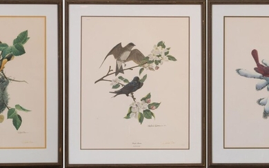 Three Richard Sloan Bird Prints.