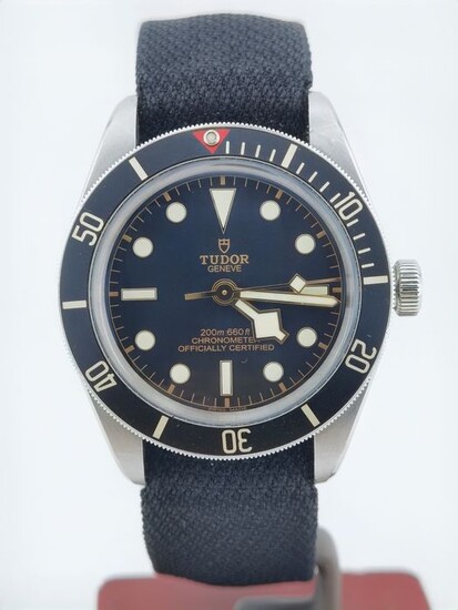 Tudor - Black Bay - 79030 - Men - 2011-present
